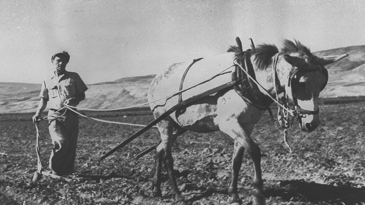 The Jerusalem Post - Israel News