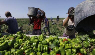 The Jerusalem Post - Israel News