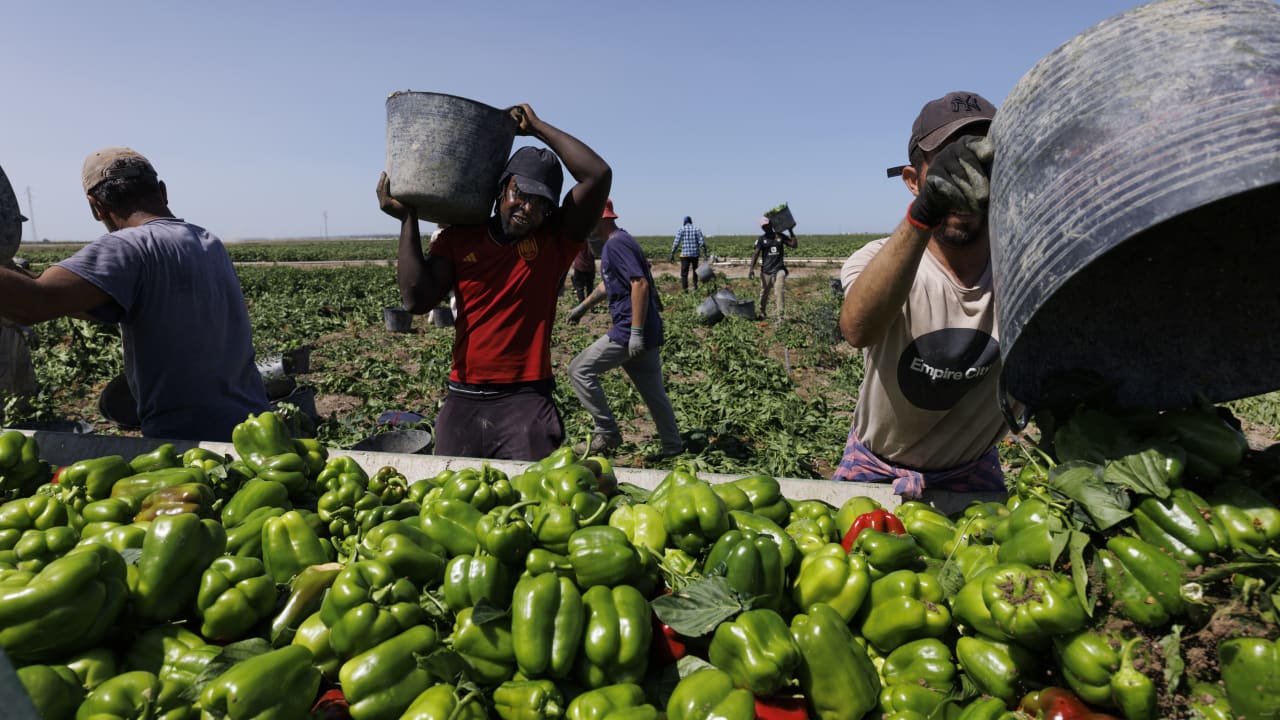 The Jerusalem Post - Israel News