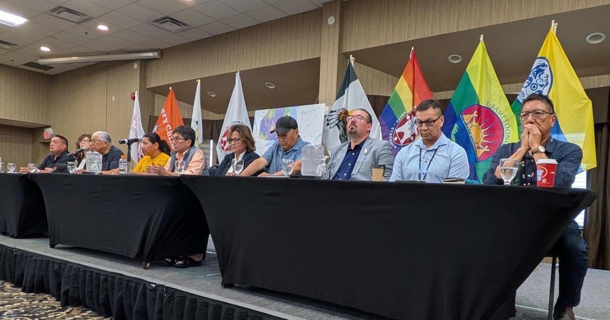 First Nations leaders demand public inquiry into Ontario wildfire response - CTV News