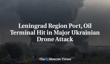Leningrad Region Port, Oil Terminal Hit in Major Ukrainian Drone Attack