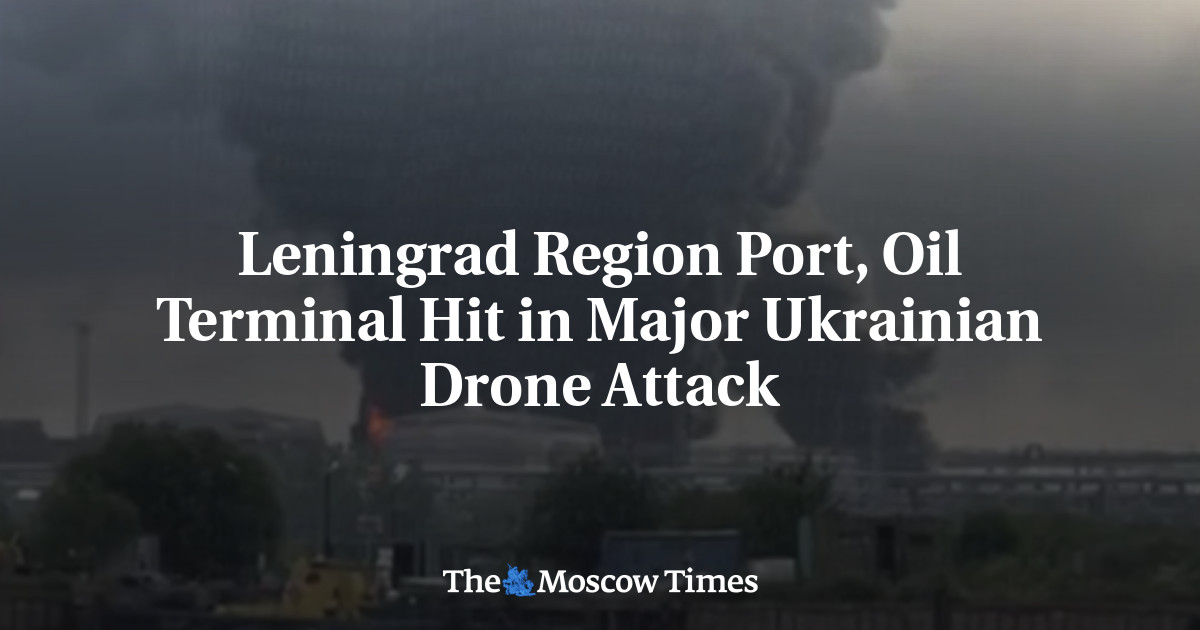 Leningrad Region Port, Oil Terminal Hit in Major Ukrainian Drone Attack