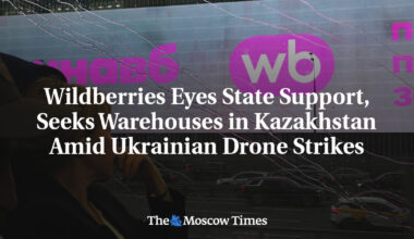 Wildberries Eyes State Support, Seeks Warehouses in Kazakhstan Amid Ukrainian Drone Strikes