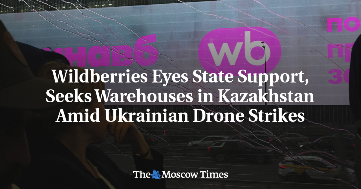 Wildberries Eyes State Support, Seeks Warehouses in Kazakhstan Amid Ukrainian Drone Strikes