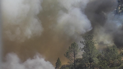 Dove Fire: Mandatory evacuations prompted by vegetation fire in Tuolumne County