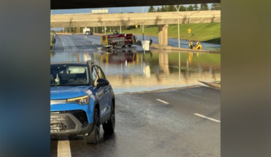 Power outages, fallen trees and a list of locations closed after Edmonton’s sudden deluge - CTV News