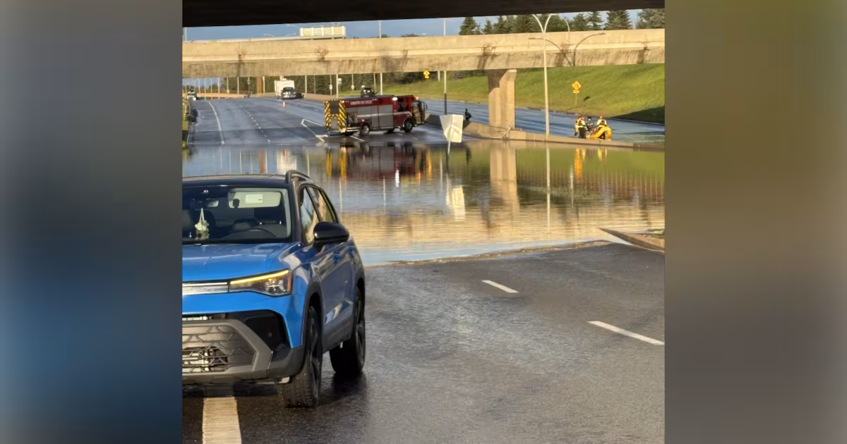 Power outages, fallen trees and a list of locations closed after Edmonton’s sudden deluge - CTV News
