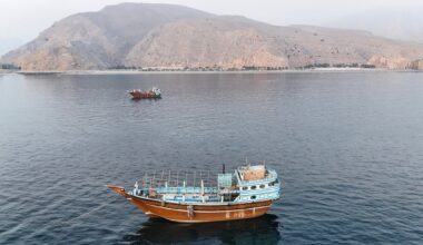 Third ship hit in Hormuz within 24 hours, as Doha blames Iran for striking Qatari tanker