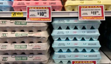 Egg cartons on shelves with prices displayed: $10.99, $11.29, and $10.59 for large and medium eggs. Special offers from Presidente Supermarket.