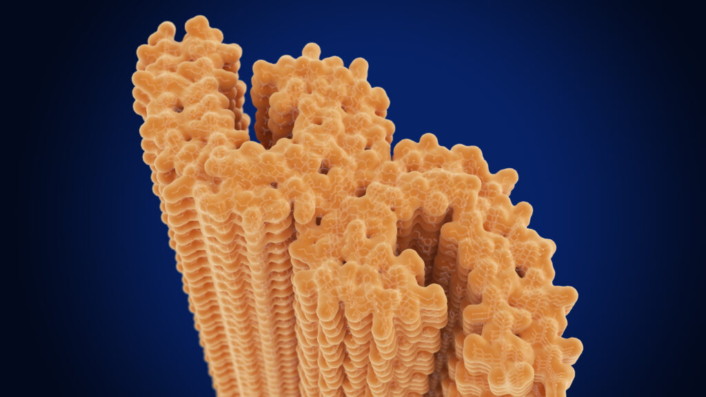 Biogen Alzheimer's drug slowed cognitive decline in midstage study