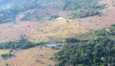 Scientists Find Evidence of Lost Amazonian Civilization That May Have Been Home to Millions