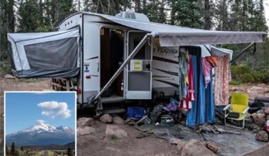 Father and son charged with kidnapping US Forest Service biologists in California