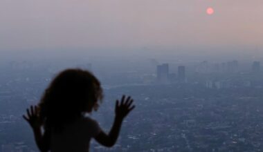 Wildfire Smoke Can Attack Almost Every Part of Your Body – Not Just Your Lungs : ScienceAlert
