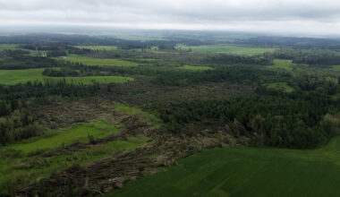 Destructive Alberta tornado narrowly misses Rocky Mountain House community
