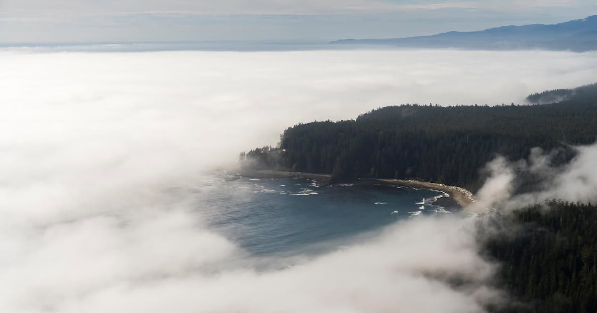 ‘We’re going to do it anyways’: Some hikers press ahead after West Coast Trail warning - CTV News