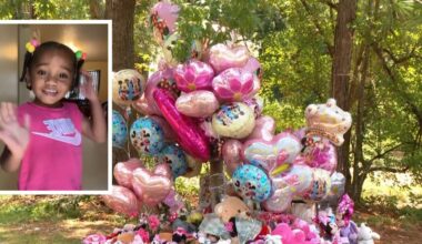 Javeayah Harris' remains were destroyed with chemicals, sheriff says. What else did investigators find?