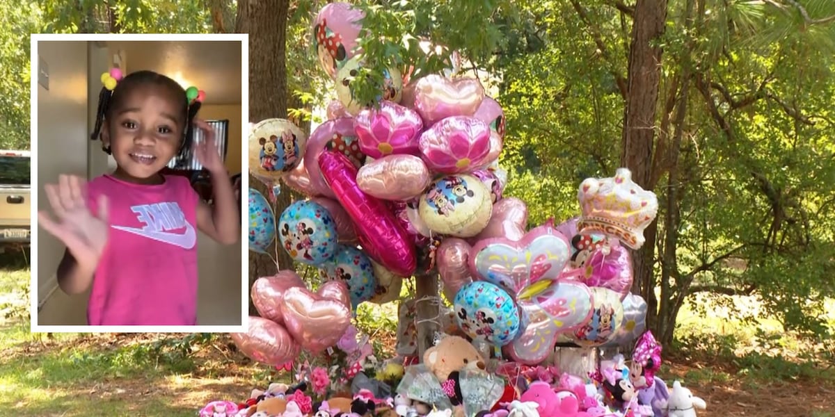 Javeayah Harris' remains were destroyed with chemicals, sheriff says. What else did investigators find?