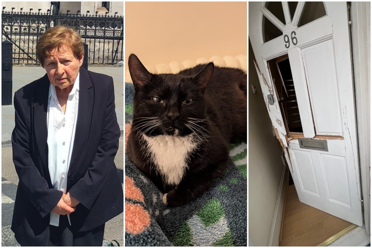 Top ex-lawyer, 79, sues Met Police and RSPCA after door 'chopped down with axe' at London home to seize cat
