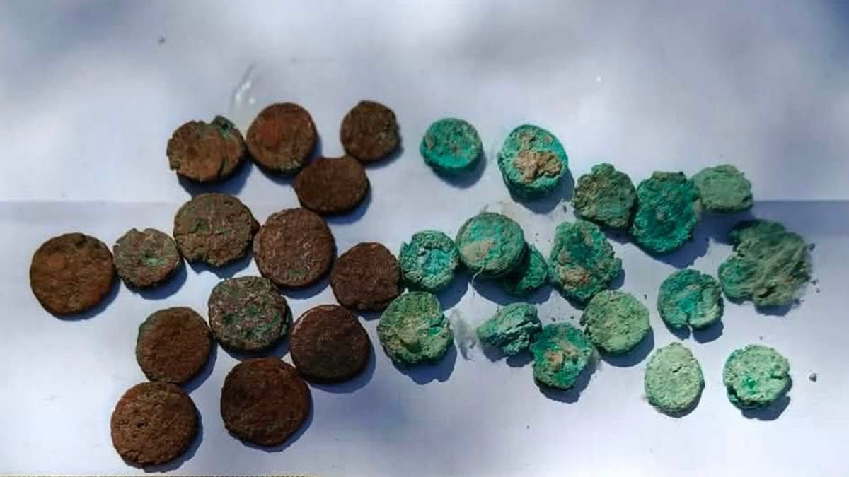 View of various ancient coins with patina