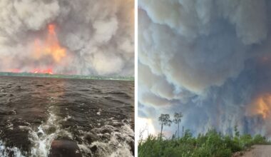 ‘The flames were jumping’: Teen recalls harrowing escape from forest fire in tin boat - CTV News