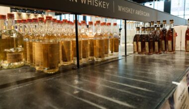 U.S. bill prompting trade investigation of Canadian booze bans