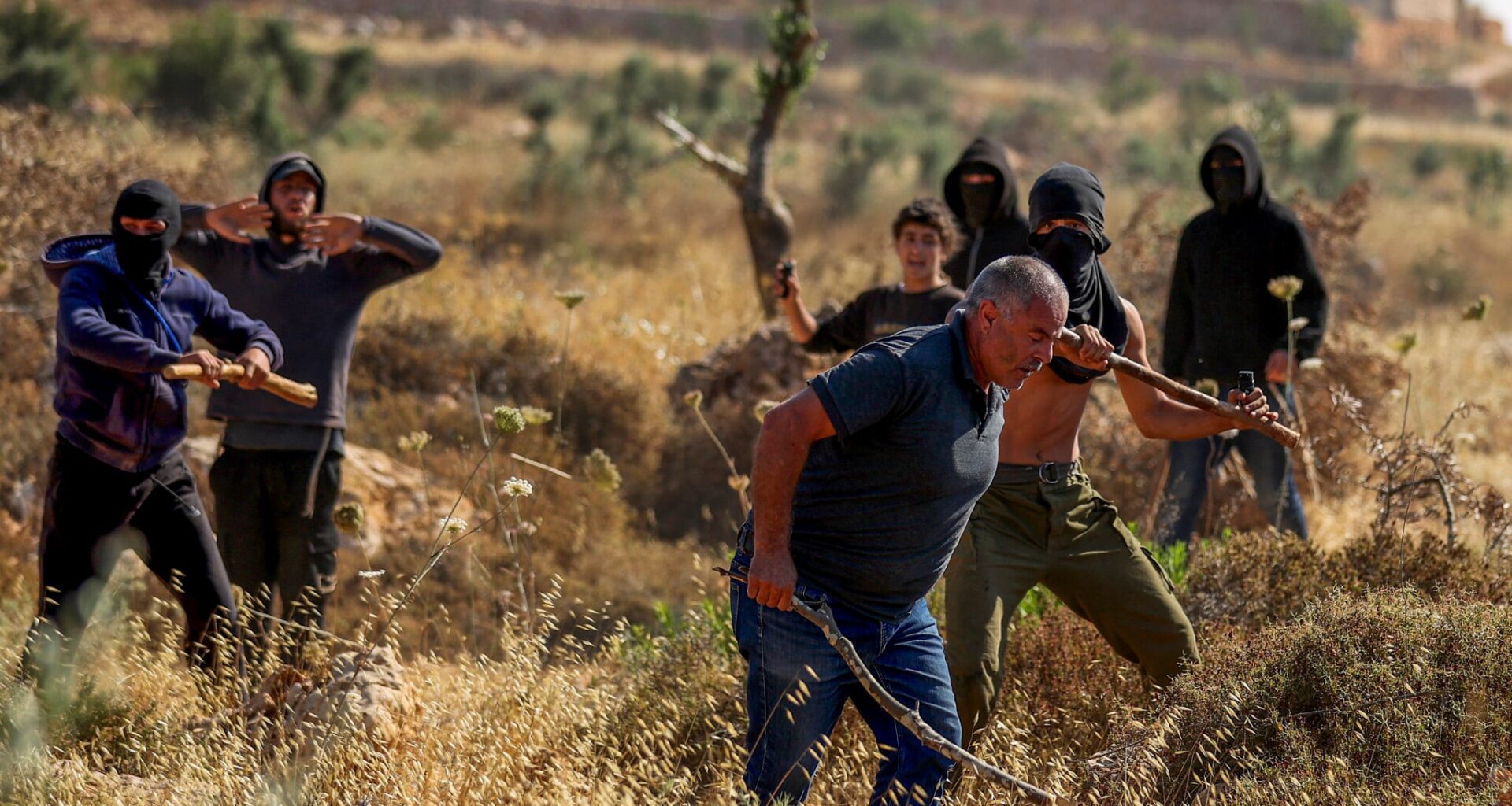 Elderly man said injured as settlers attack Palestinians, foreign volunteers in West Bank