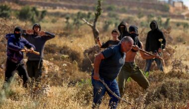 Elderly man said injured as settlers attack Palestinians, foreign volunteers in West Bank