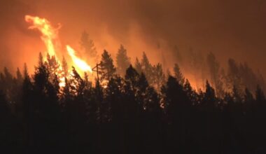 ‘Everyone knows who they are’: B.C. wildfire evacuee fears looters feasting on empty homes - CTV News