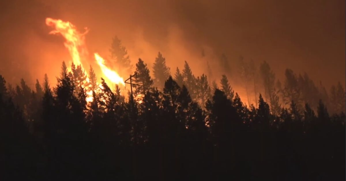 ‘Everyone knows who they are’: B.C. wildfire evacuee fears looters feasting on empty homes - CTV News