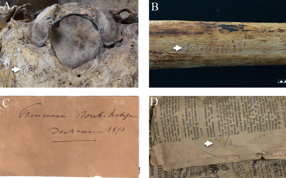 Ancient Egyptian Princesses Could Use The Weapons They Were Buried With – Their Bones And Injuries Are Proof