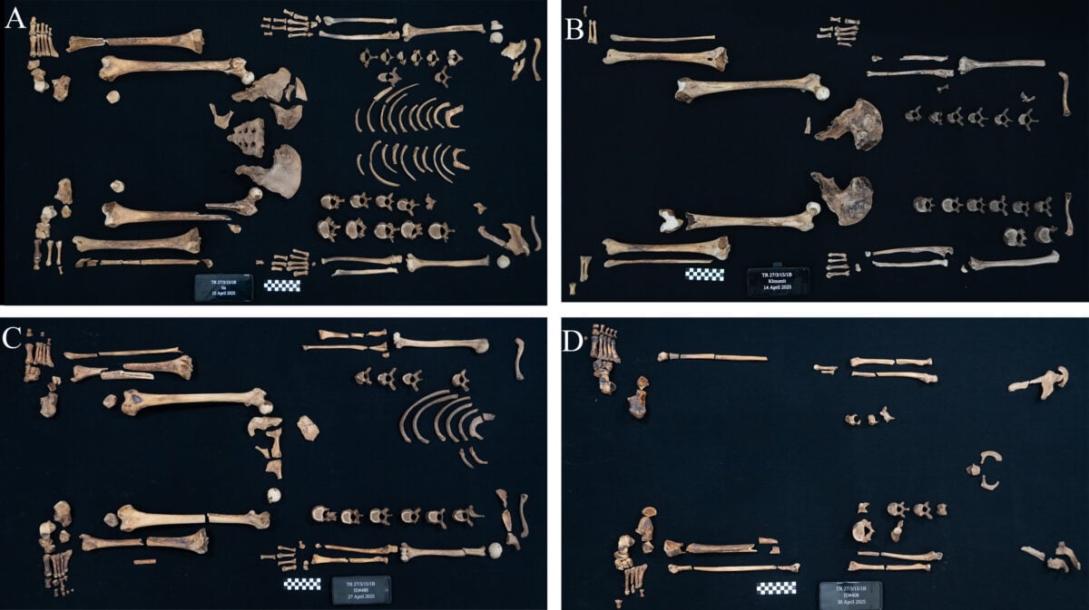 Ancient Egyptian Princesses Could Use The Weapons They Were Buried With – Their Bones And Injuries Are Proof