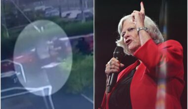 CCTV reveals moment suspect arrested on suspicion of murdering Ann Widdecombe - London Evening Standard
