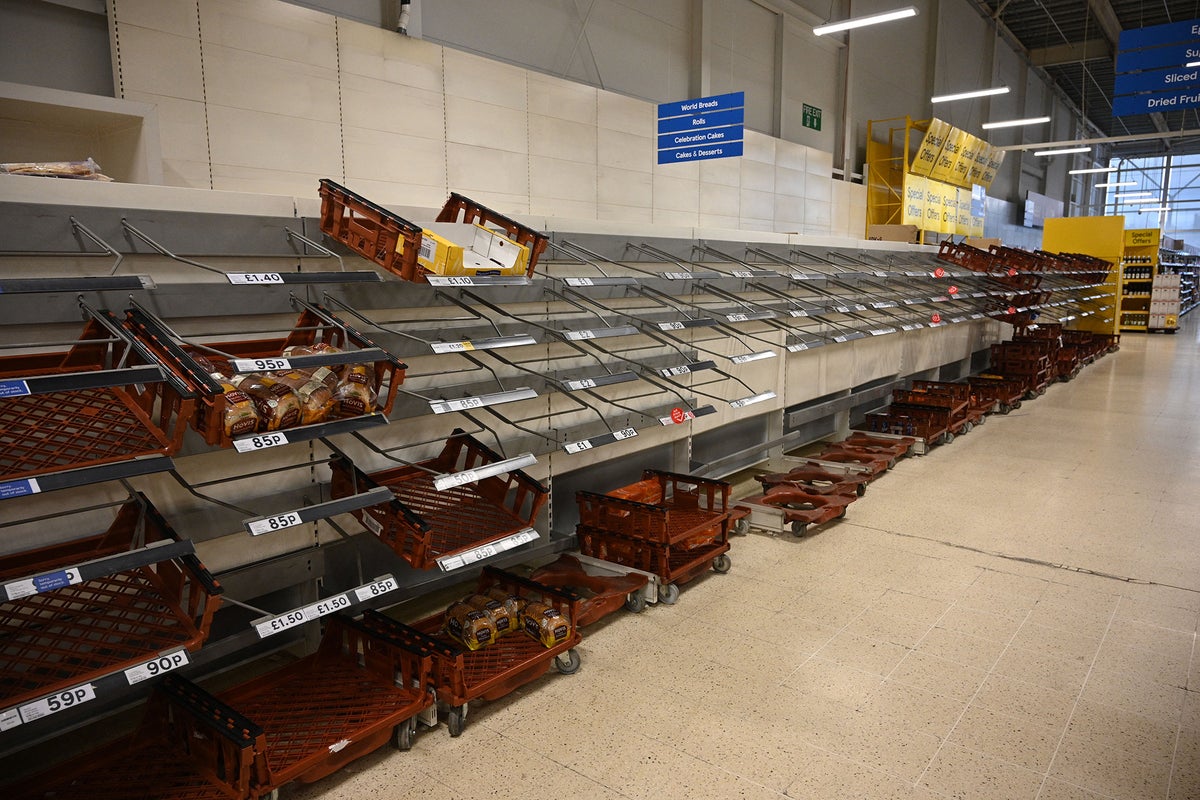 Farmers warn food shortages are just 10 days away, yet the signs suggest they’ve already arrived