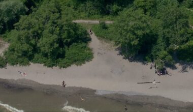 Woman dragged off path and sexually assaulted in Whitby: police – CP24