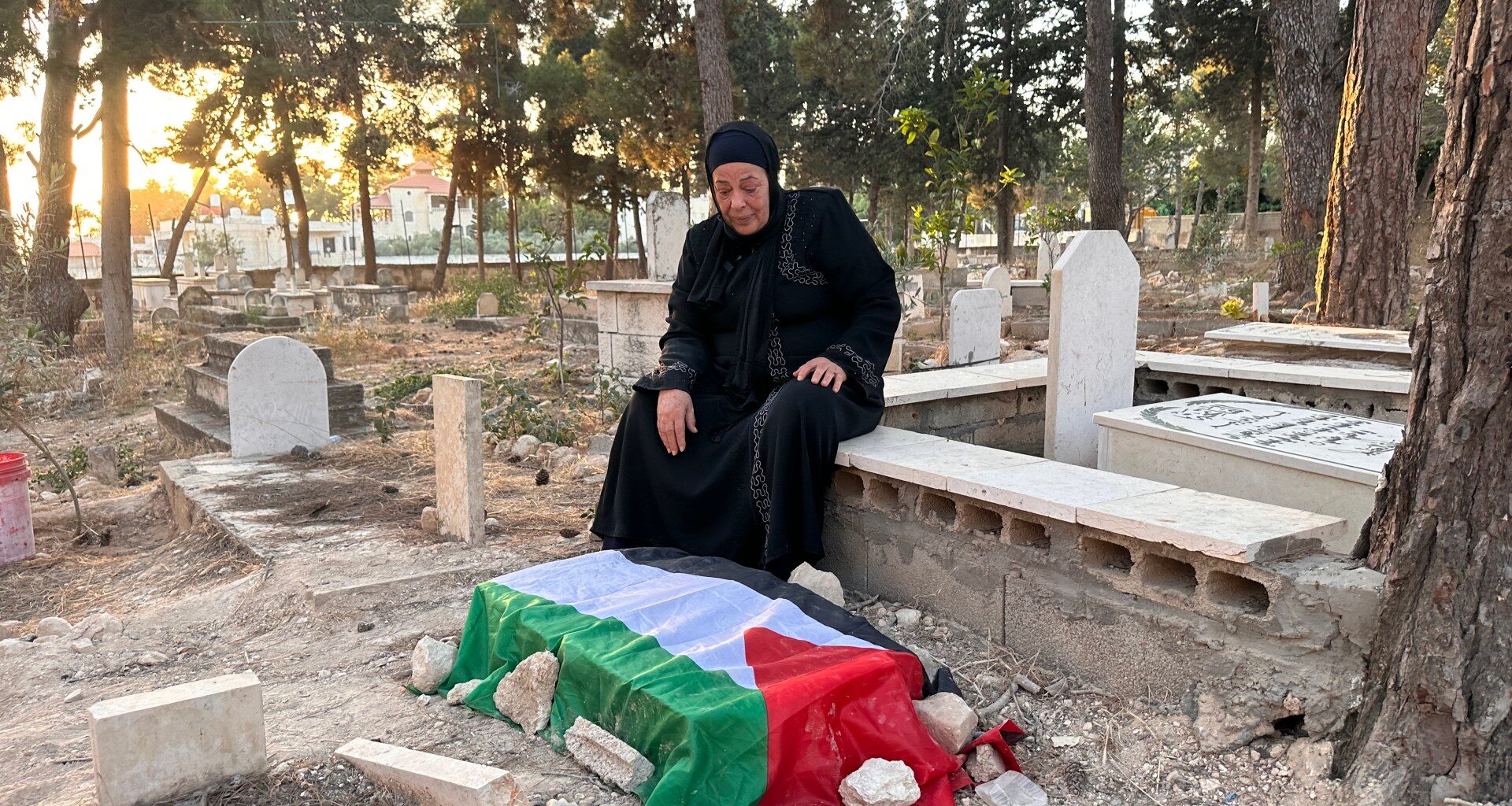 ‘Shoot me, Just let my son pass’: Final moments of Palestinian Ahmad Zaid | Child Rights News