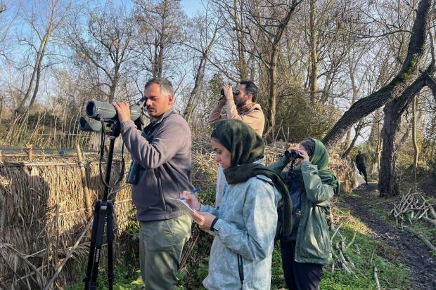 Members of AvayeBoom conduct a waterbird and shorebird census in wetlands near the Caspian Sea.