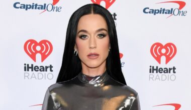 Katy Perry Slams White House Military Strikes Video Using 'Firework'