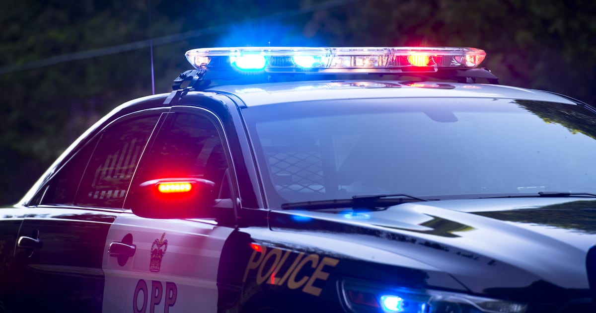 Road rage fight on Hwy. 427, police searching for suspect