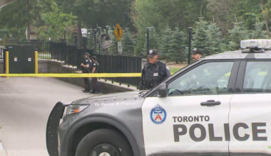 Suspect at large after woman fatally stabbed in North York building - CTV News