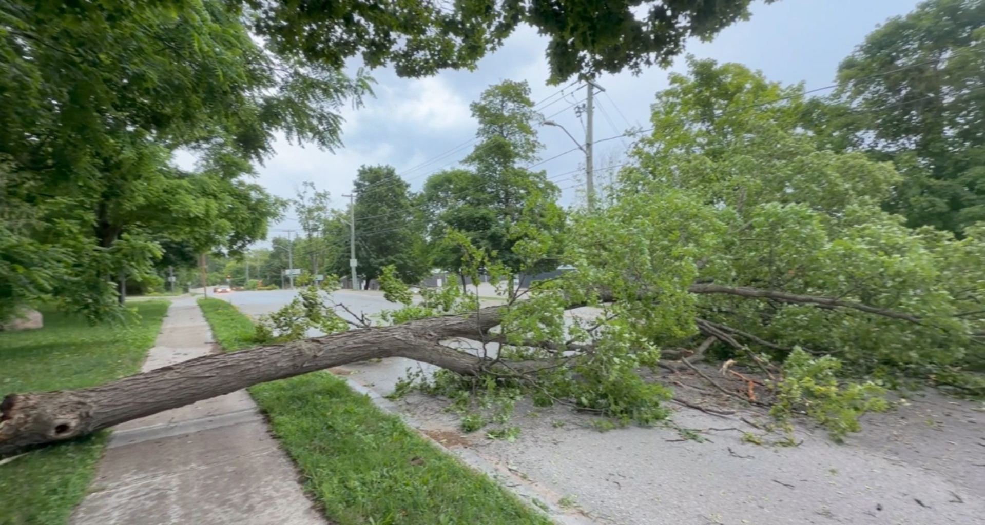 Damage reported after Canada Day storms slam southern Ontario