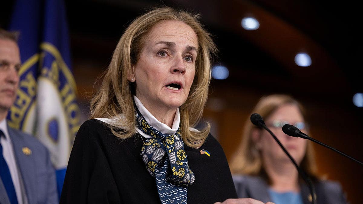 Madeleine Dean speaks at a press conference in Washington, D.C.