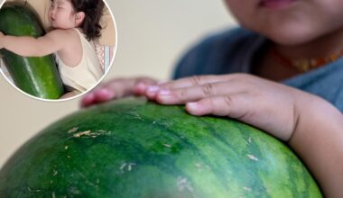 Parents are giving babies giant melons to hug to stay cool