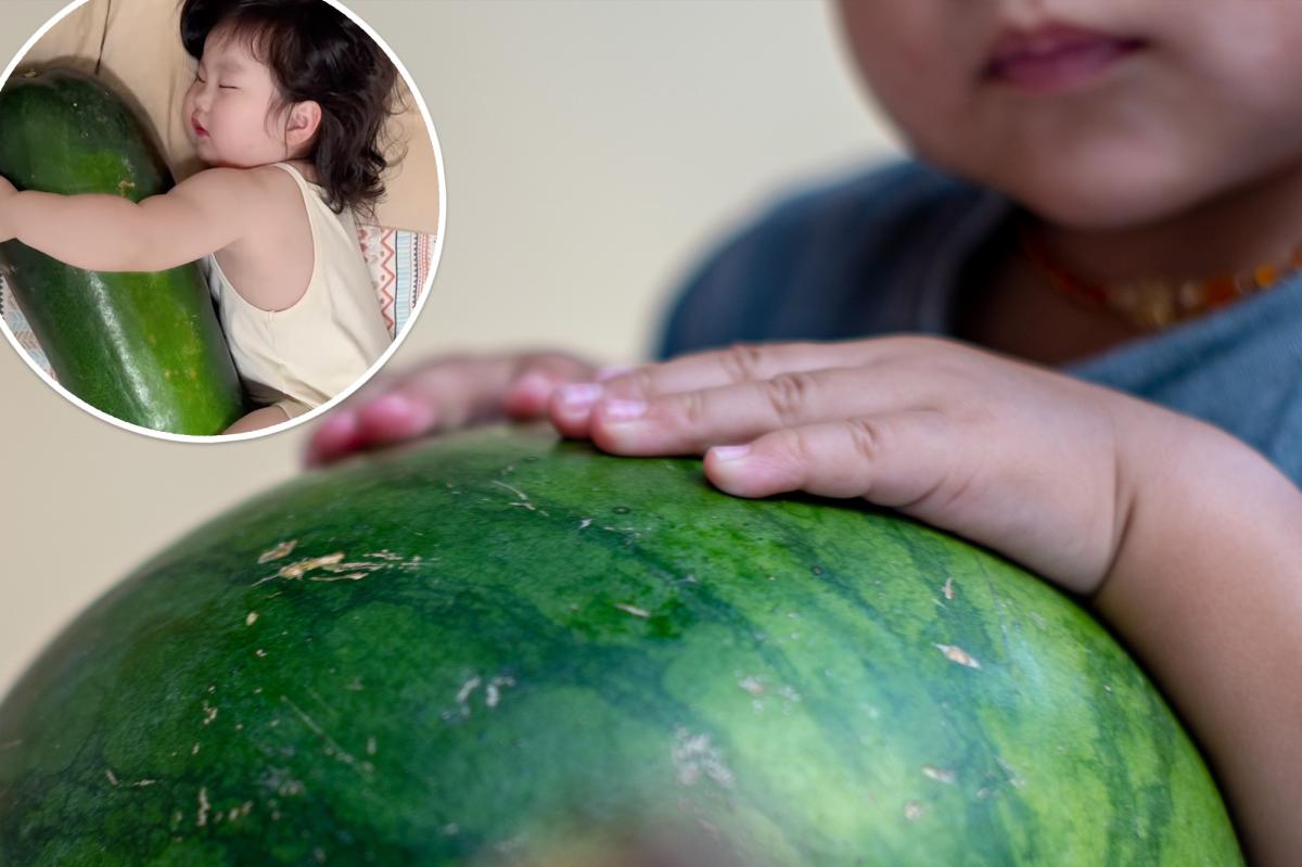 Parents are giving babies giant melons to hug to stay cool