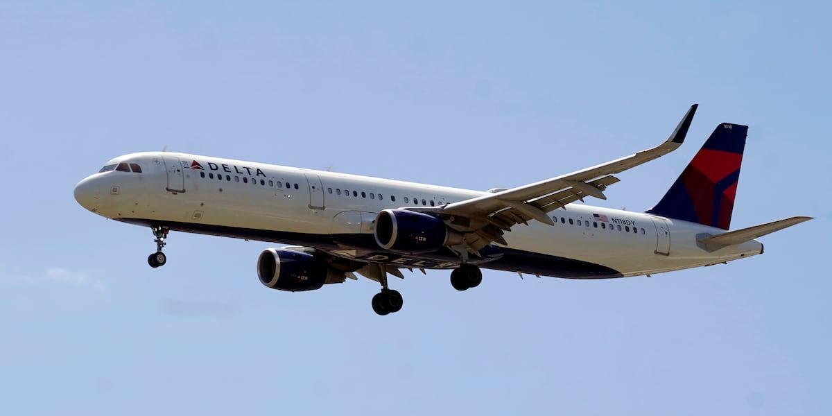 Delta flight hit by firework while landing on Fourth of July