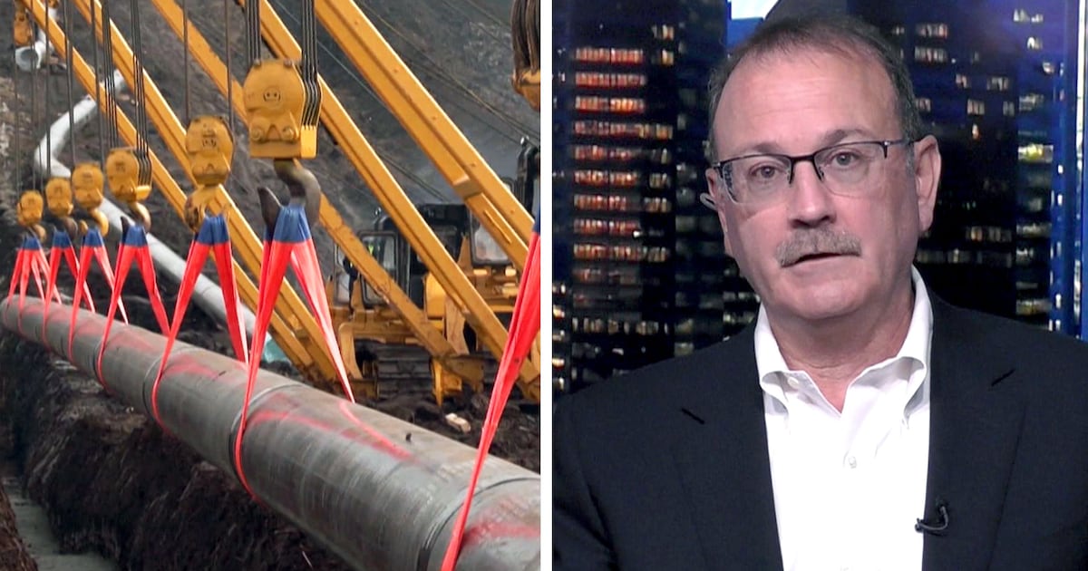 EXCLUSIVE: Trans Mountain CEO confident new oil pipeline to West Coast will be built - CTV News