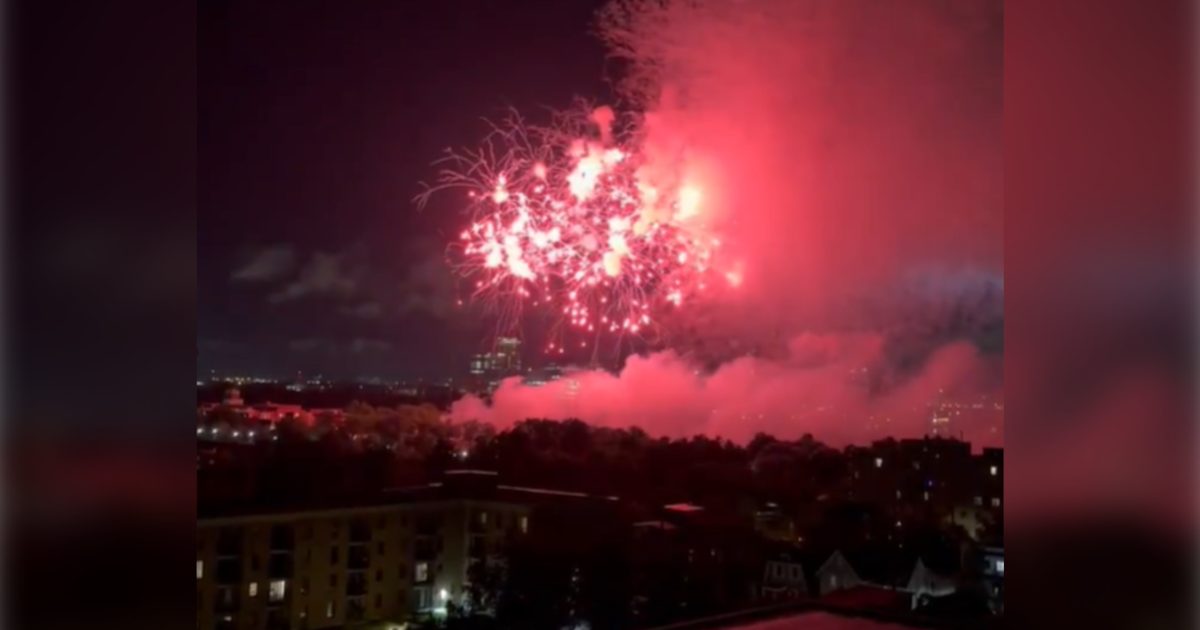 City of Ottawa did not inform public about fireworks display for ‘public safety’ reasons - CTV News