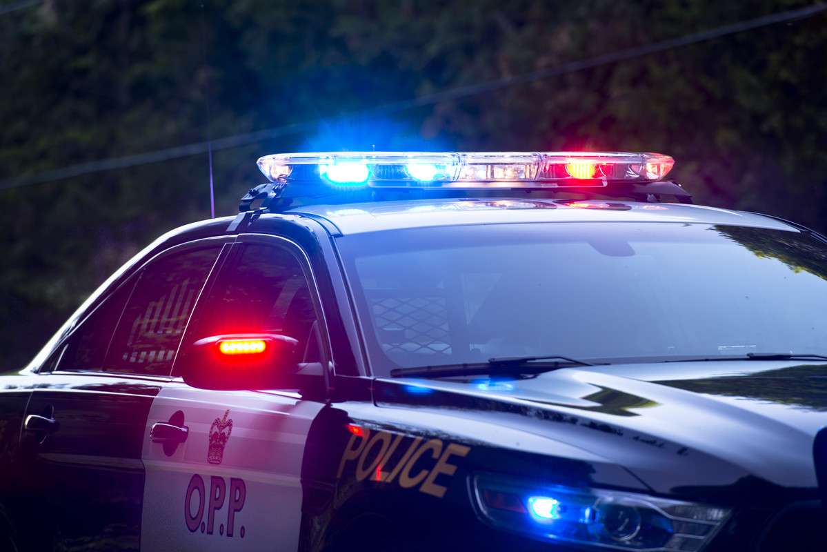Four Kingston residents among 63 people charged in child exploitation sting