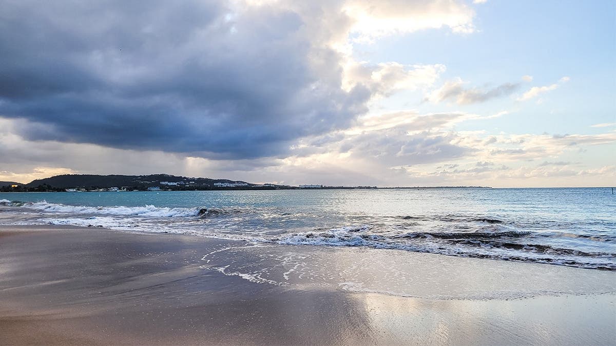 image shows a beach