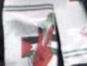 HHS Video That Depicted HHS Group Director Wearing Allegedly Anti-Israel Symbols Wasn't Actionable Workplace Harassment