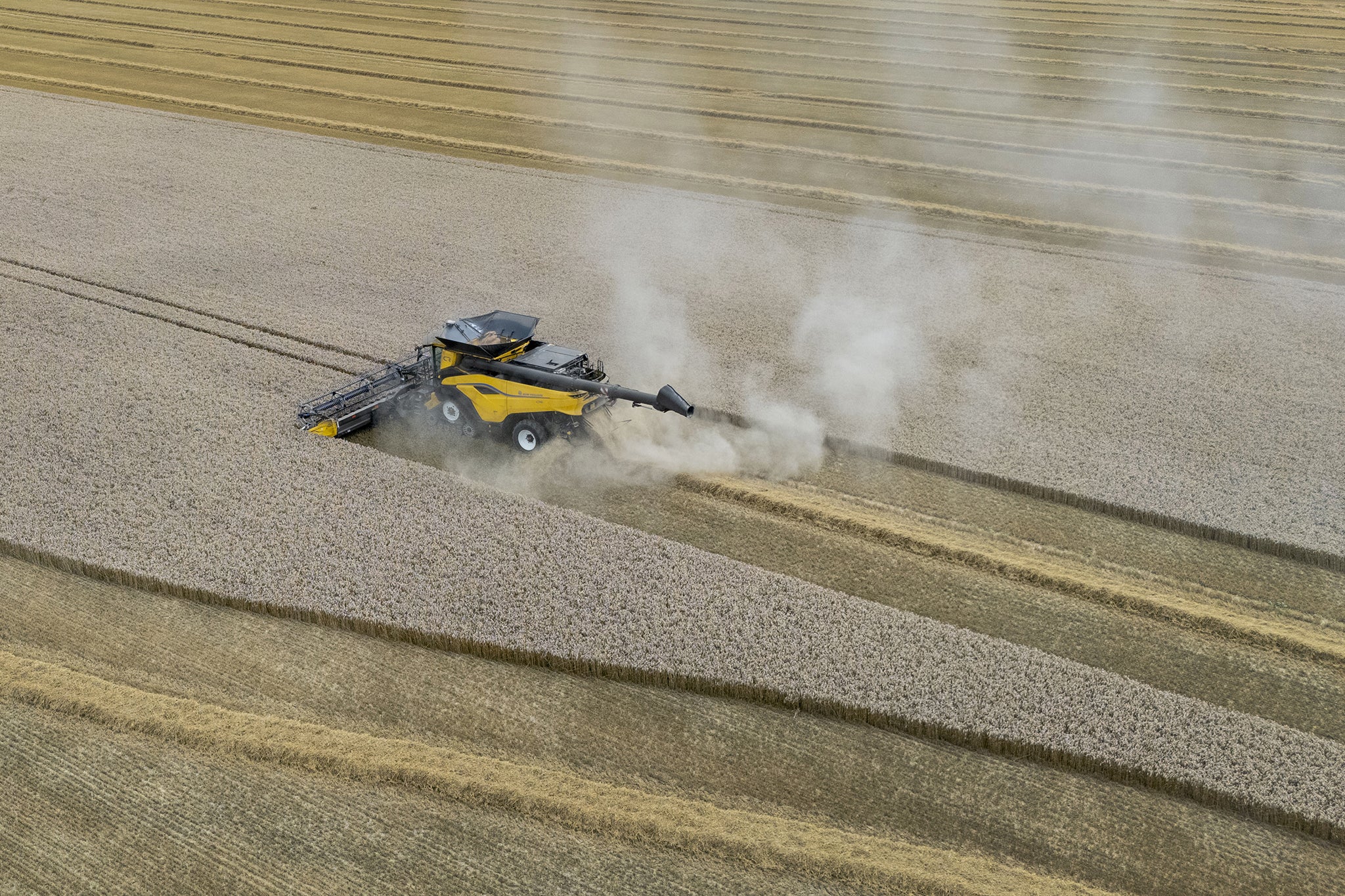 Farmers have warned that crops and livestock are being wasted due to the lack of workers
